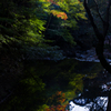 IMGP3211-8