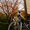 雨のサイクリング