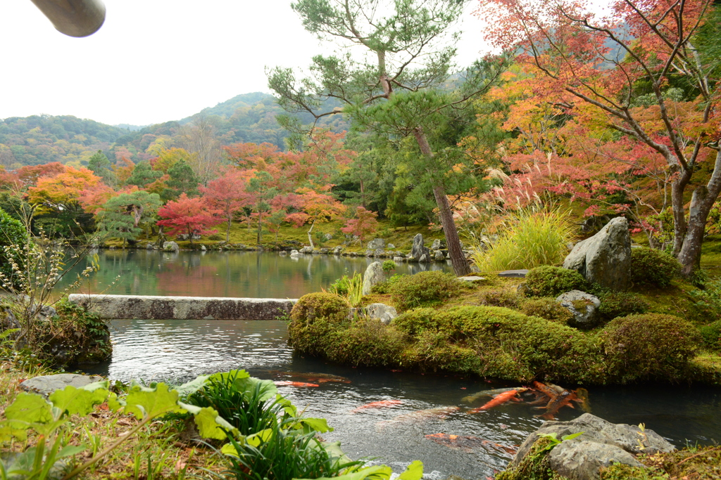 庭園