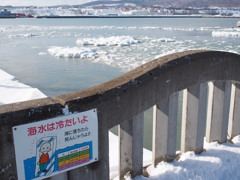 海水は冷たいらしいです(^_^)