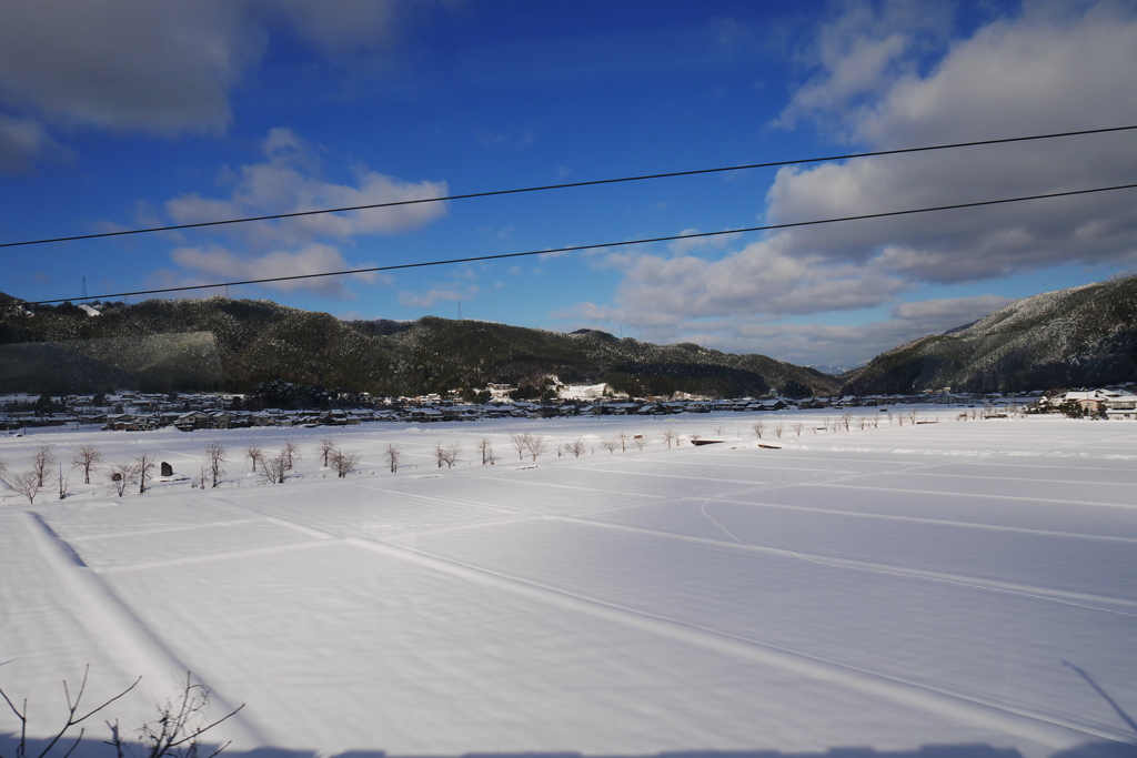 車窓からの雪原