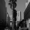 ランドマーク