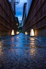 雨上がりの小径
