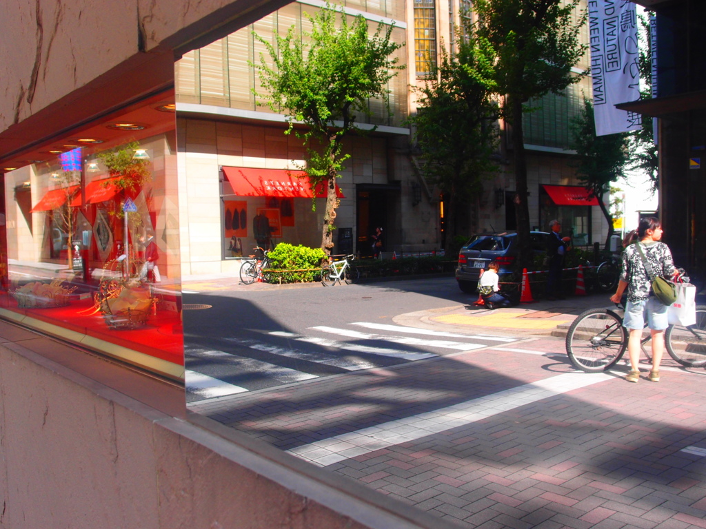映った景色