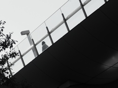 都市のブリッジ