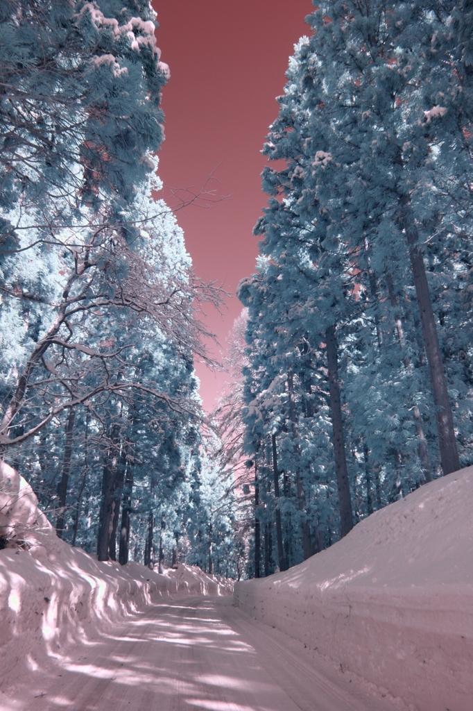 infrared photo 3