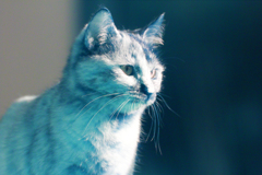 infrared landscape 127