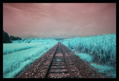 infrared landscape 12