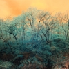 infrared landscape 76