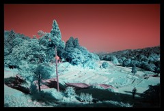 infrared landscape 2