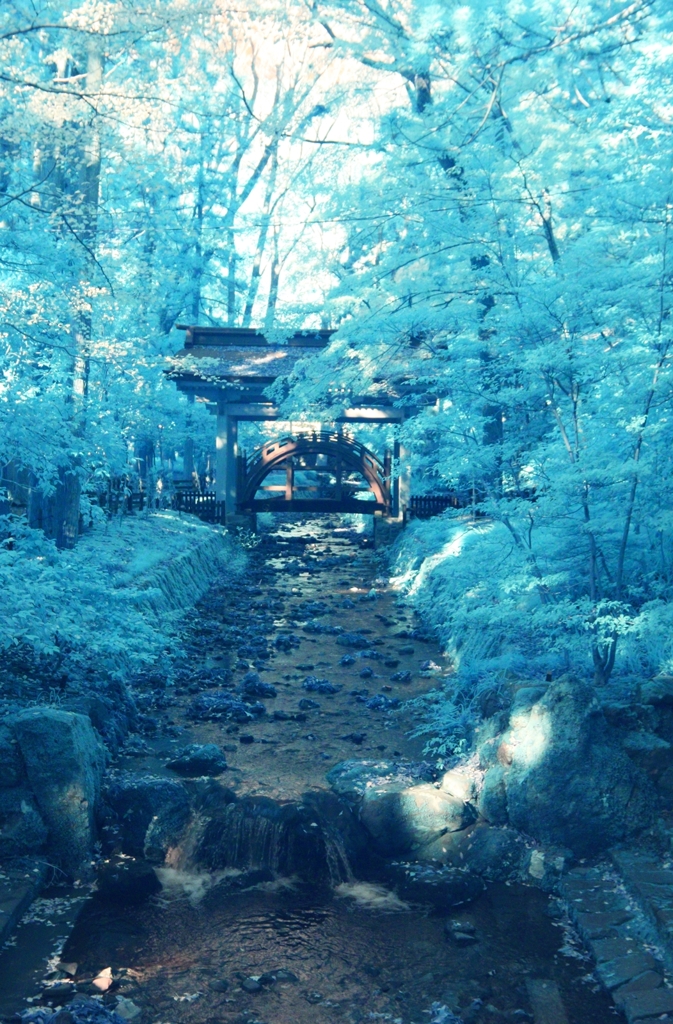 infrared landscape 101