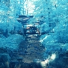 infrared landscape 101