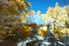 infrared landscape 103