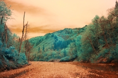 infrared landscape 75