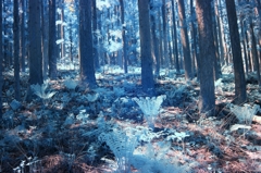 infrared landscape 26