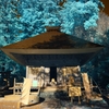 infrared landscape 107