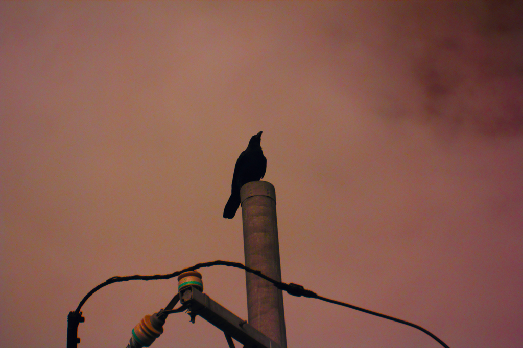 infrared landscape 120