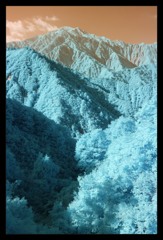 infrared landscape 6
