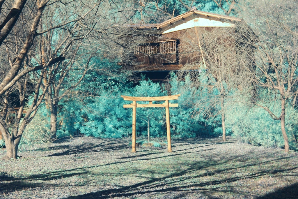 infrared landscape 98