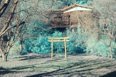infrared landscape 98