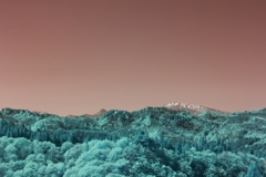 infrared landscape 61