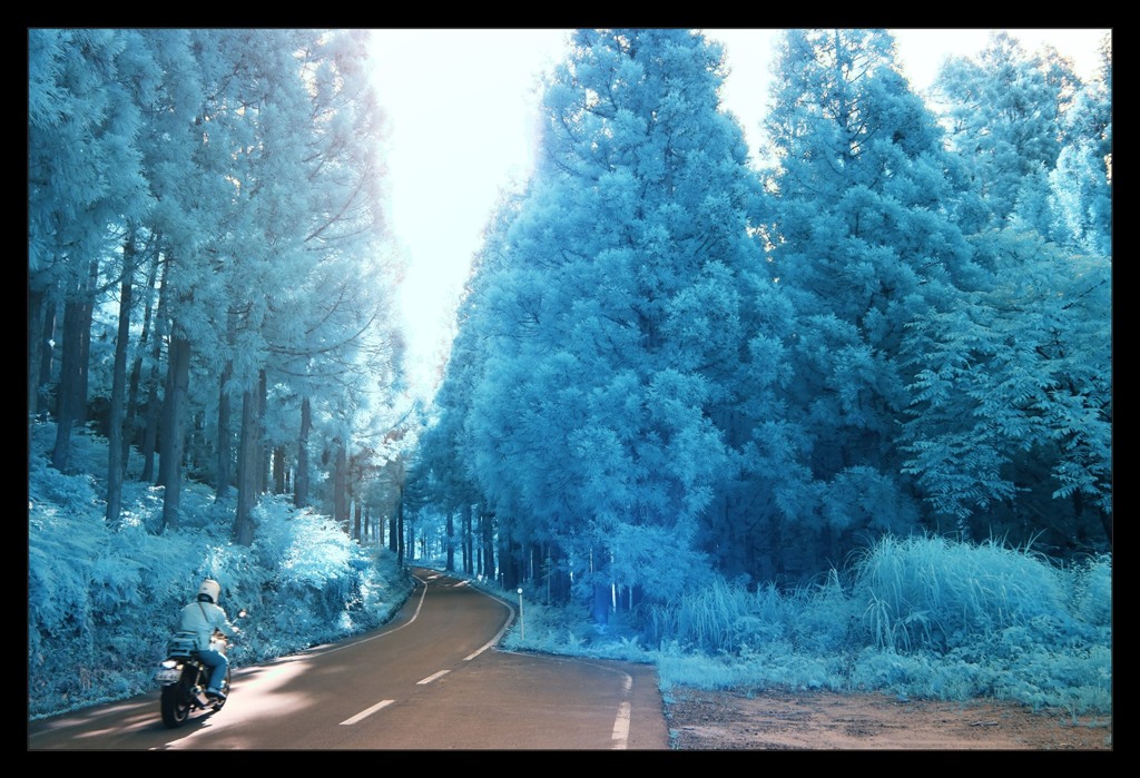 infrared landscape 5