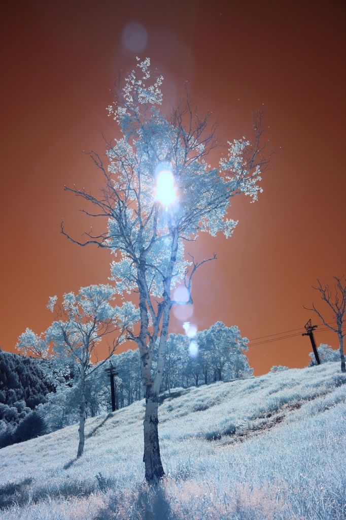infrared landscape 43