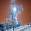 infrared landscape 43
