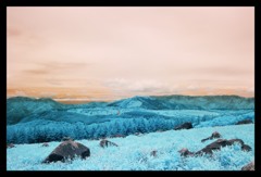 infrared landscape 4