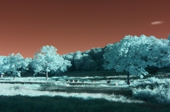 infrared landscape 39