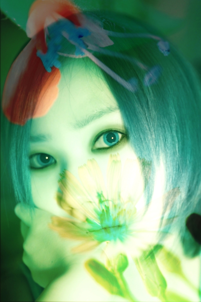 underwater flowers to paradise and lunch