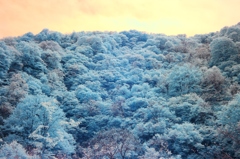 infrared landscape 27