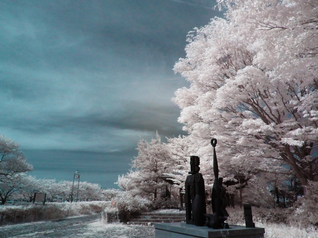New IR Camera 720nm
