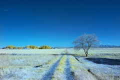 infrared landscape 105