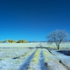 infrared landscape 105
