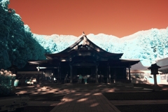 infrared landscape 96