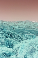 infrared landscape 59