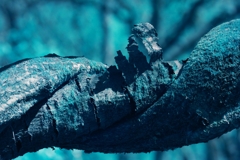 infrared landscape 72