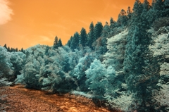 infrared landscape 24