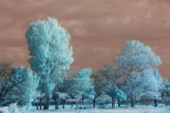 infrared landscape 62
