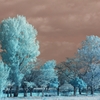 infrared landscape 62