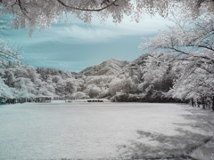 infrared landscape 82