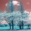 infrared landscape 68