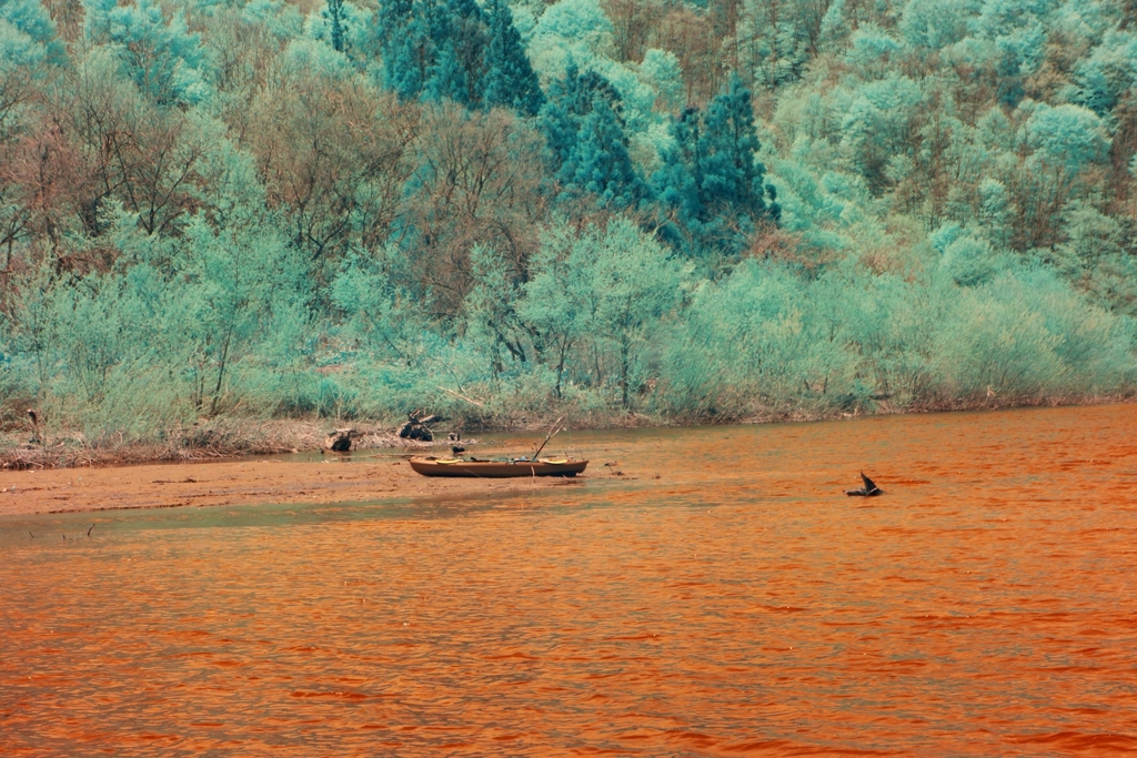 infrared landscape 77