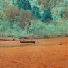 infrared landscape 77