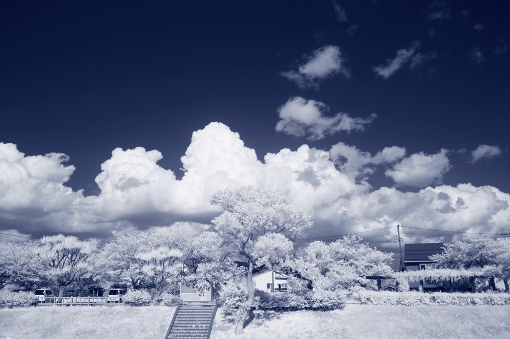 new IR filter test photo 2