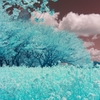 infrared landscape 65