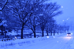 雪降る田舎道