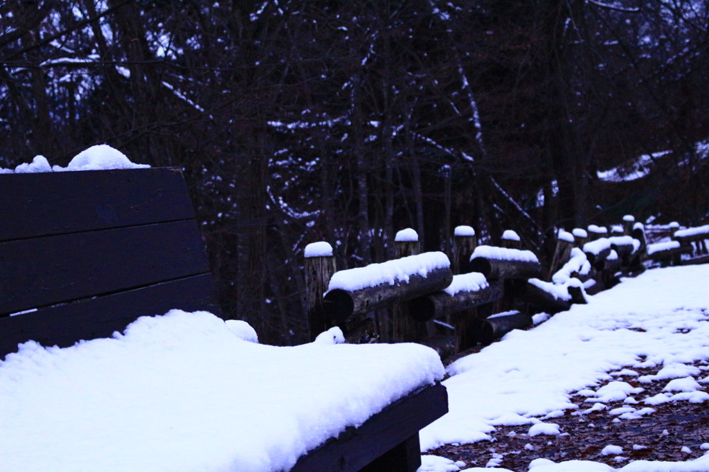 雪景色