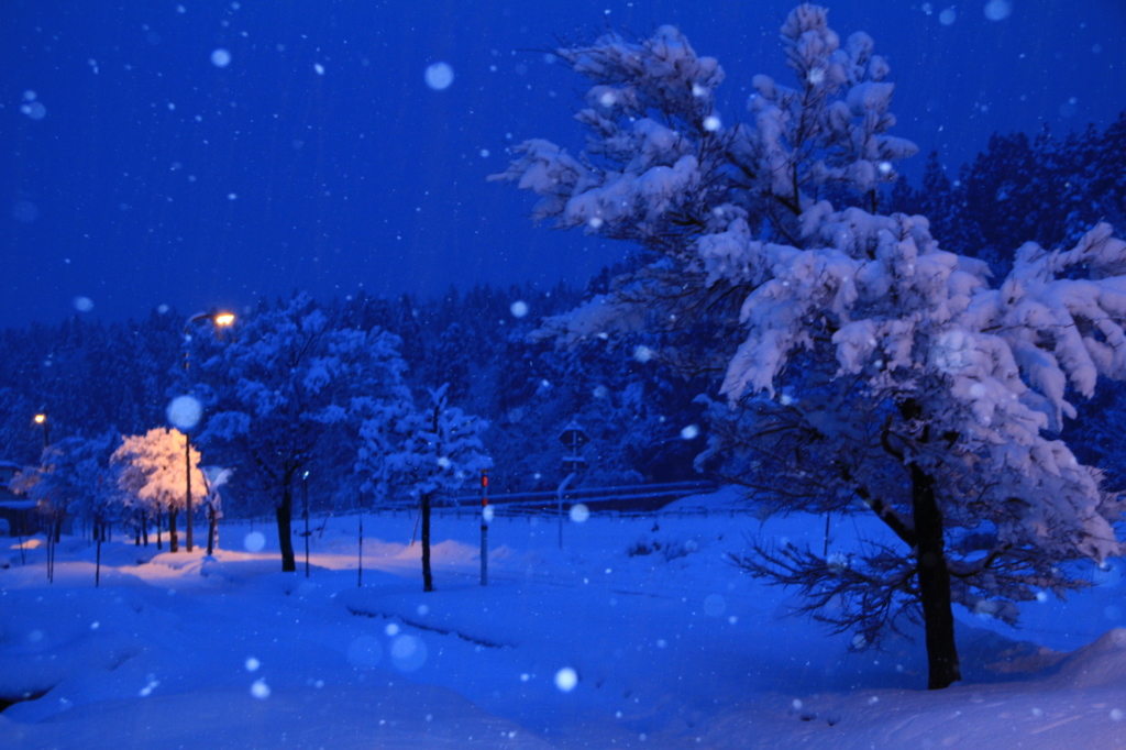 日の出前の雪景色